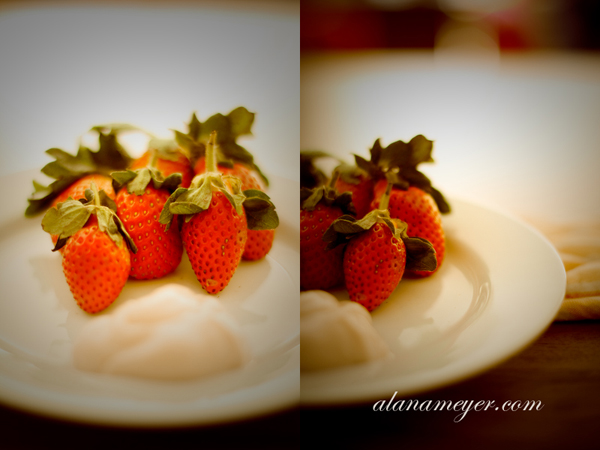 Wedding Photography Decor Strawberry
