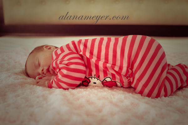 Baby Photography Johannesburg South Africa Kayla Gray