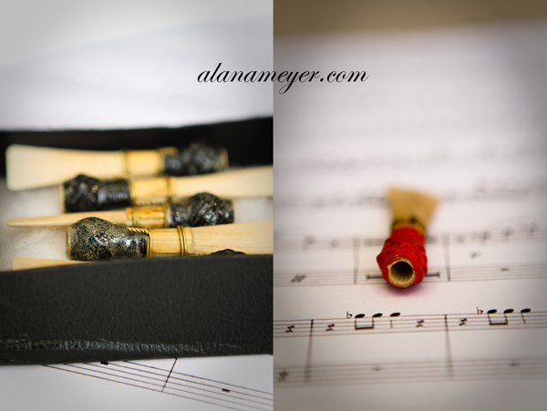 Bassoon photography instrument funky Bassoon photography instrument funky