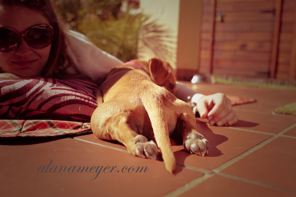 cassiedogblog-7