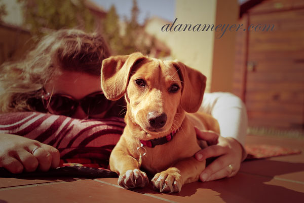 cassiedogblog-8