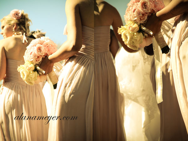 Wedding Photography Zimbabwe (4)