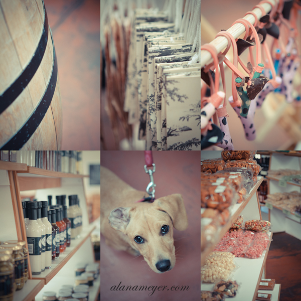 travel cape town photography5