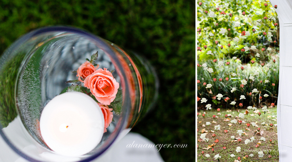 alana meyer wedding photographer zimbabwe