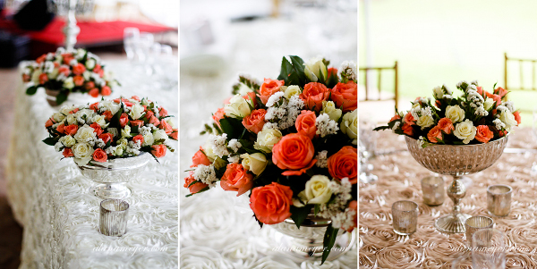 alana meyer wedding photographer