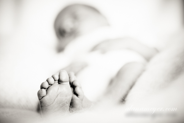 davejen baby photography-93