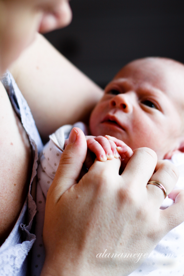 davejen baby photography v-88
