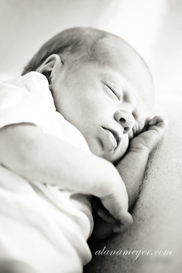 davejen baby photography v-90