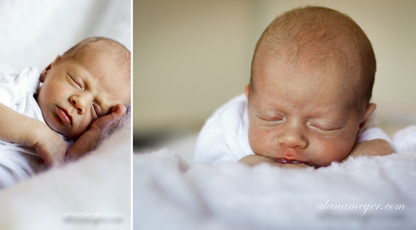newborn photography8