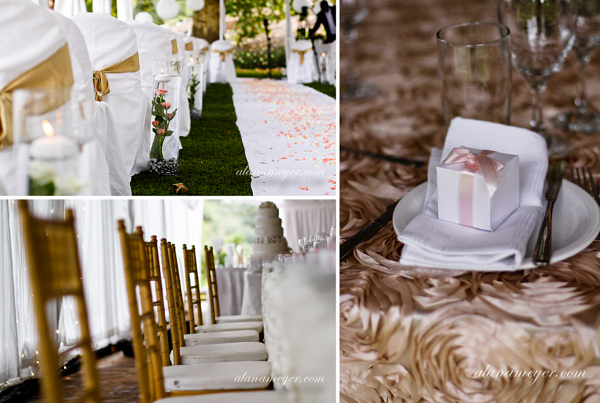 wedding zimbabwe photographer alana meyer johannesburg south africa