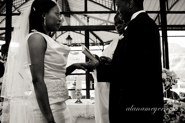 caroltedweddingphoto-20