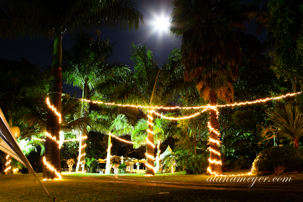 international wedding photographer zimbabwe south africa alana meyer-51