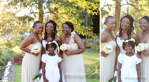 zimbabwe wedding photographer alana meyer pandhari lodge10