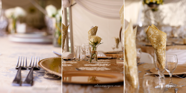zimbabwe wedding photographer alana meyer pandhari lodge2