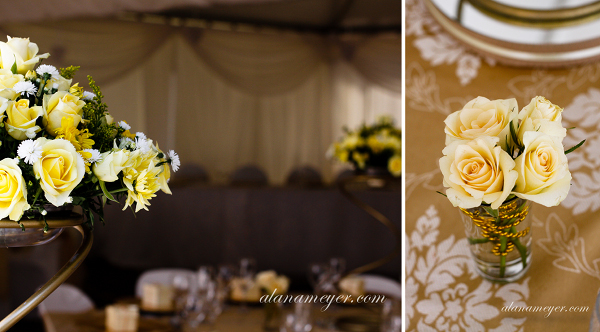 zimbabwe wedding photography alana meyer pandhari lodge1