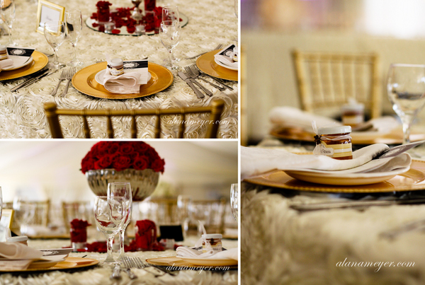 zimbabwe wedding photography wild geese lodge alana meyer4