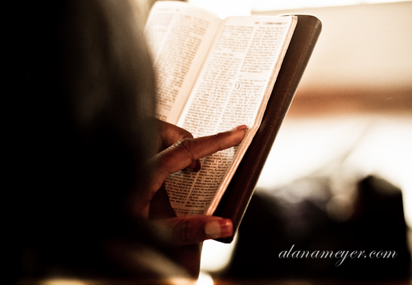 zimbabwe wedding wild geese lodge photographer alana meyer-5