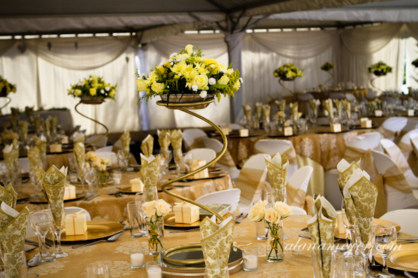 zimbabweweddingphotographer alanameyer-2
