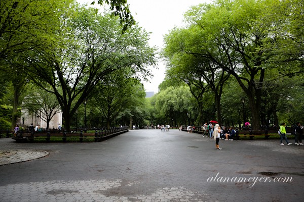 newyork-4