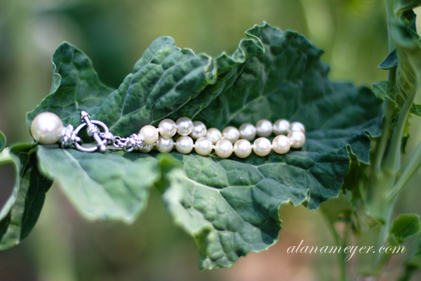 Pamela Charles Zimbabwe Wedding photographer Johannesburg South Africa-10