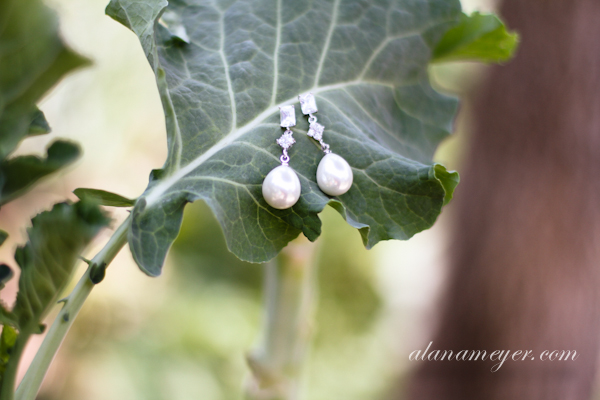Pamela Charles Zimbabwe Wedding photographer Johannesburg South Africa-11