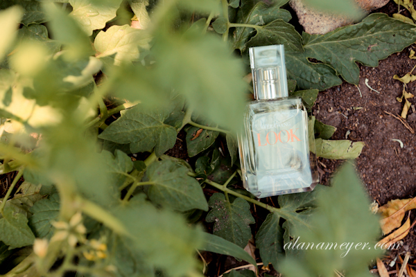 Pamela Charles Zimbabwe Wedding photographer Johannesburg South Africa-9