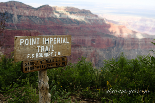 grandcanyon-10