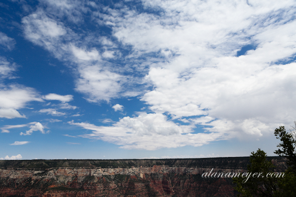 grandcanyon-8
