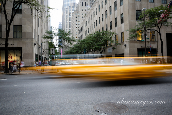 newyork-glacier-13