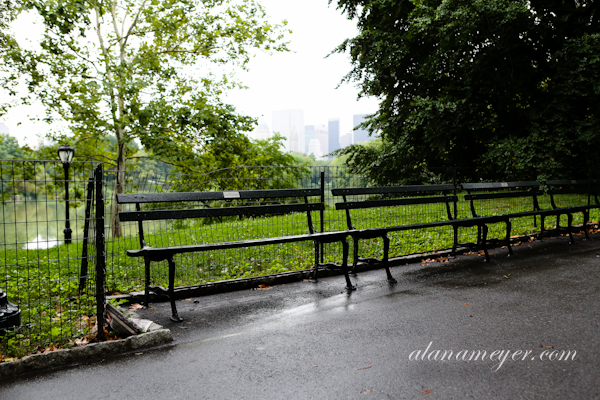 newyork-glacier-15