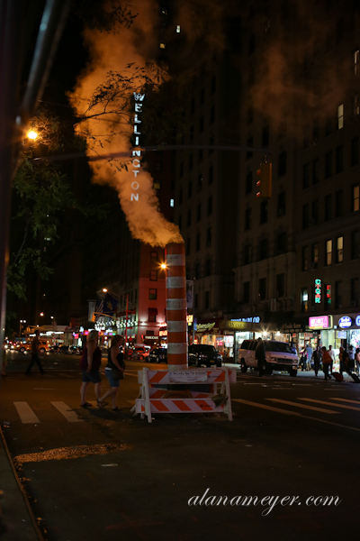 newyork-glacier-5