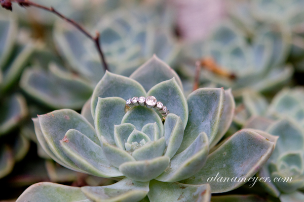 johannesburg wedding photographer moon and sixpence-002