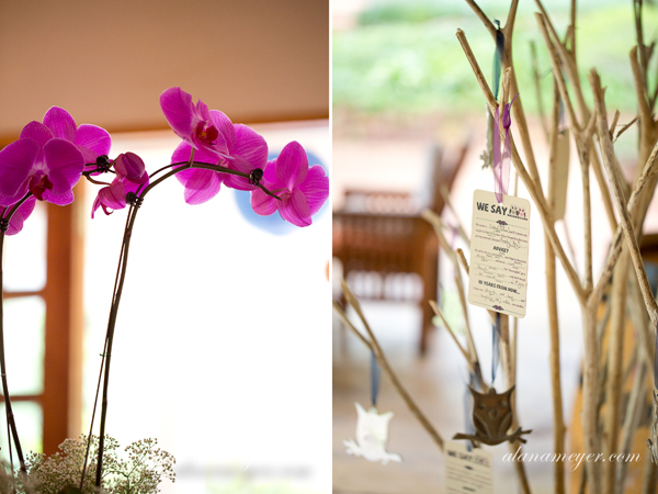 wedding photographer johannesburg alana meyer hertford country hotel3