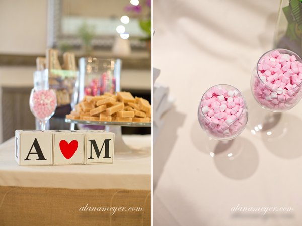 wedding photographer johannesburg alana meyer hertford country hotel5