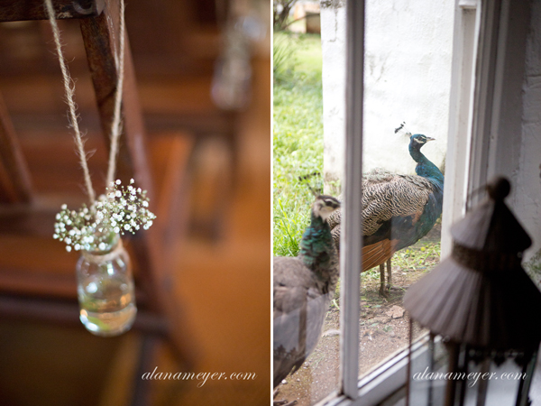 wedding photographer johannesburg alana meyer hertford country hotel9